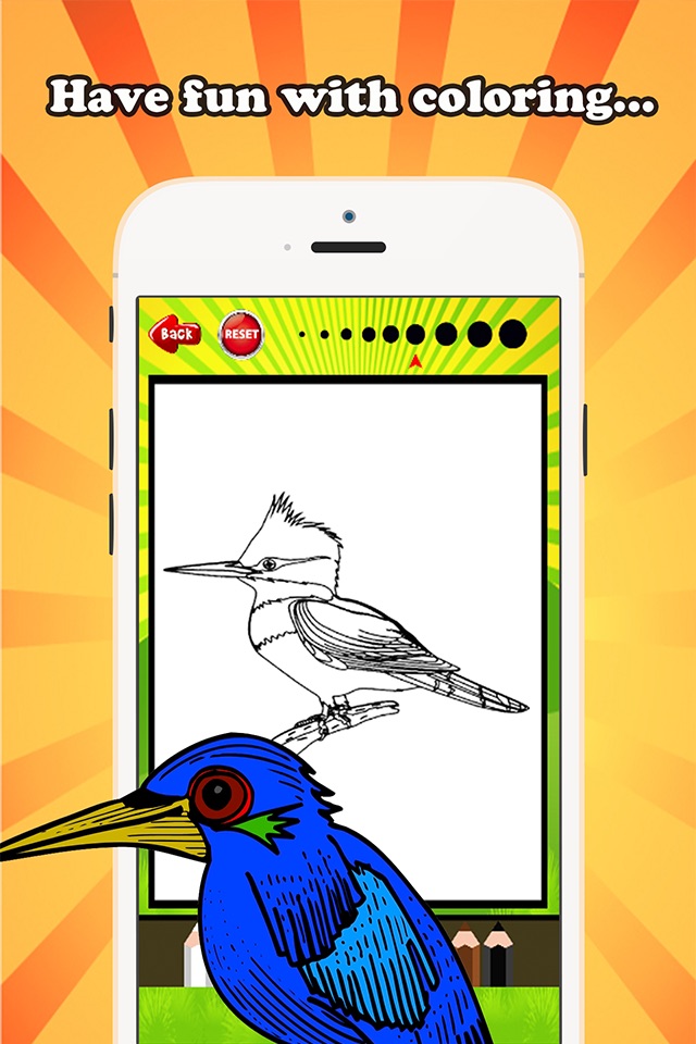 Bird Coloring Book for children age 1-10: Drawing & Coloring page games free for learning skill screenshot 4
