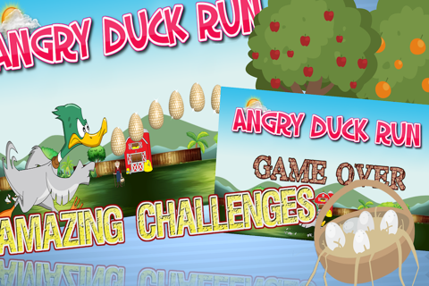 Angry Duck Run screenshot 2