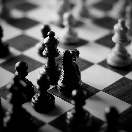 How to Play Chess for Beginners: Tips and Supports