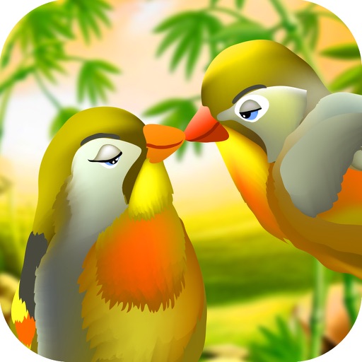 Birds Lover and Pet Animals in Happy City Place Icon