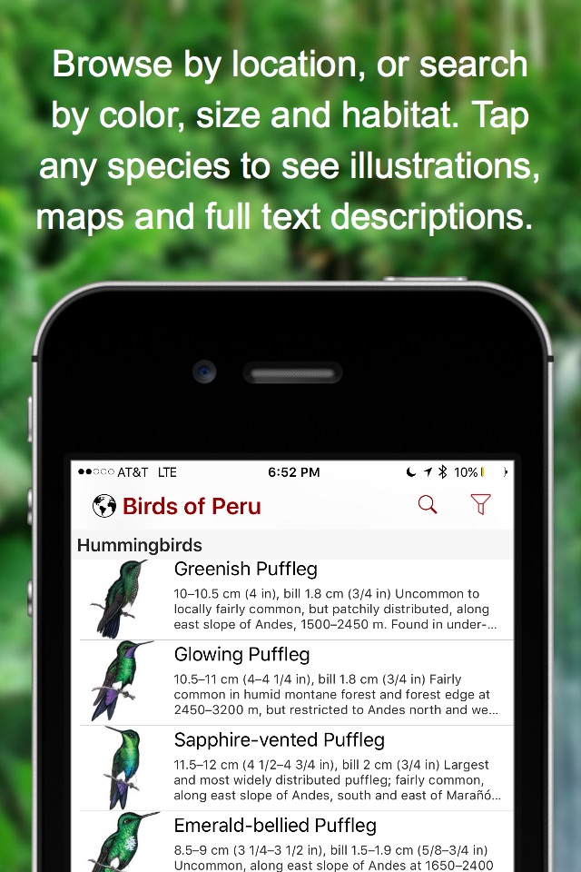 Birds of Peru screenshot 3