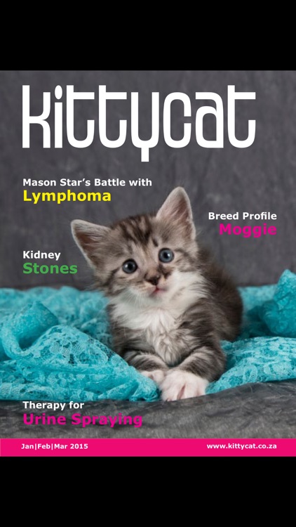 Kittycat Magazine