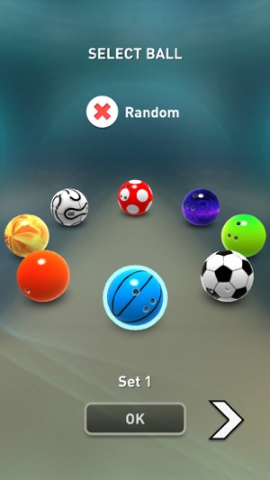 ‎Bowling Game 3D Plus Screenshot