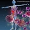 Communicable Diseases Glossary:Study Guide and Terminology Flashcard
