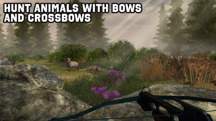 Archery Animal Hunting Simulator 3D Full