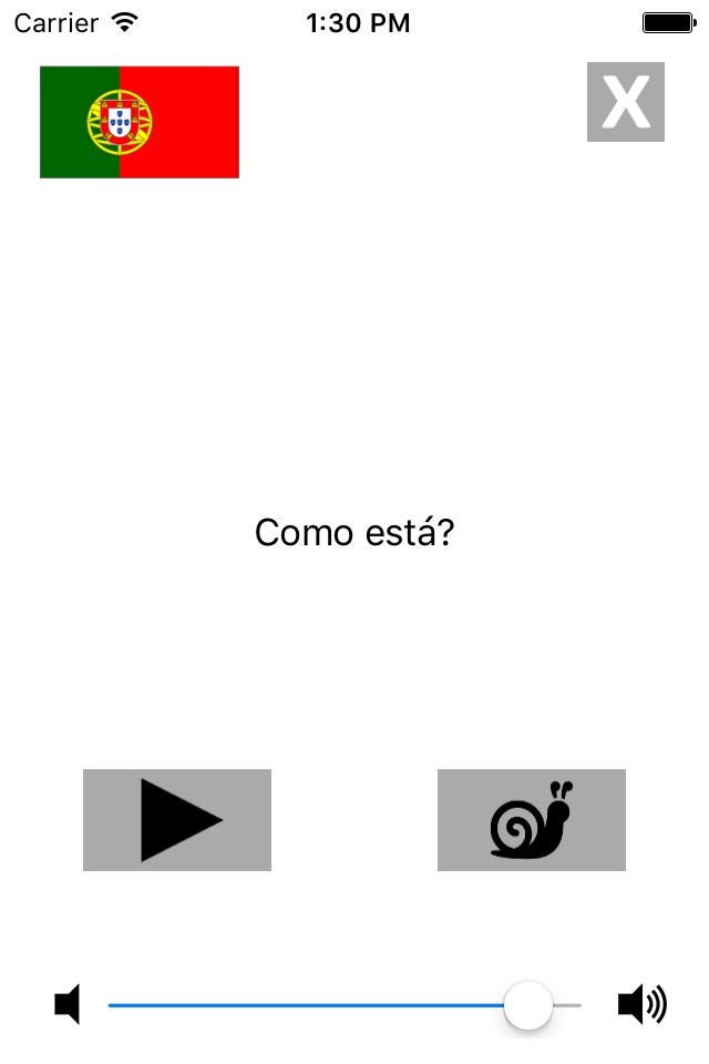 Spanish / Portuguese Talking Phrasebook Translator Dictionary - Multiphrasebook screenshot 4