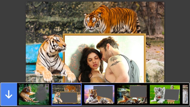 Tiger Photo Frame - Great and Fantastic 