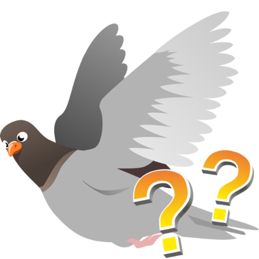 Breeds of pigeons - quiz