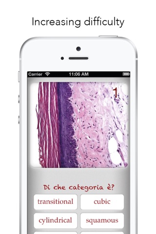 Histology Worldwide Test screenshot 3