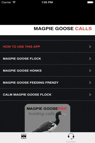 REAL Magpie Goose Calls - Hunting Calls for Magpie Geese - BLUETOOTH COMPATIBLE screenshot 3