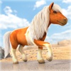 Little Pony Trails | My Cute Ponies Racing Game for Free
