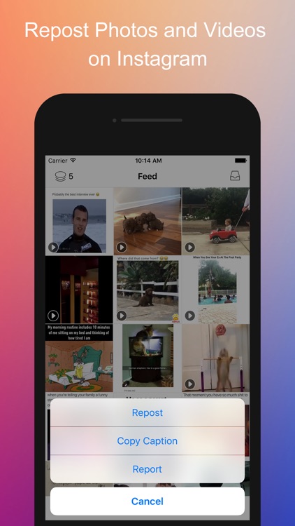 Repost for Instagram Video on Instagrab - Repost Photos & Videos for IG