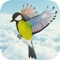 Bird Fly High 3D PRO