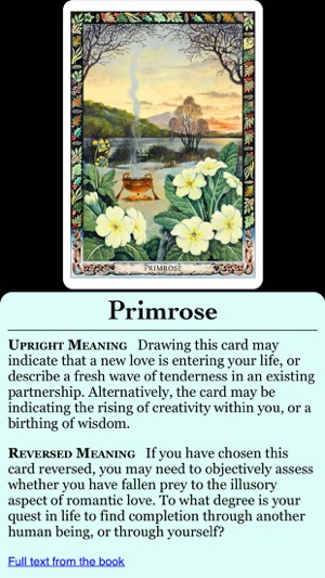 Druid Oracle Cards(圖4)-速報App