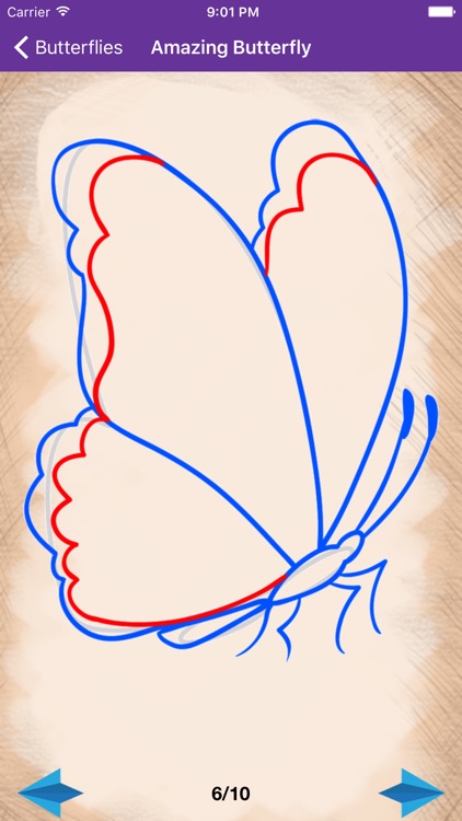 Artist Violet - How to draw Butterflies screenshot-4