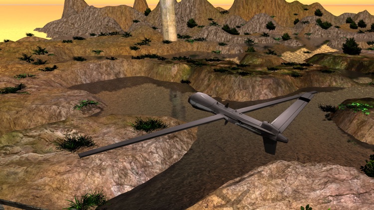 Shadow Pilot Flight Sim-ulator