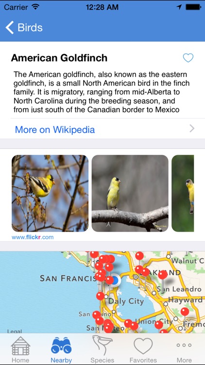 Bird Finder screenshot-4