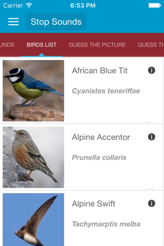 Spanish Birds and Sounds screenshot 2