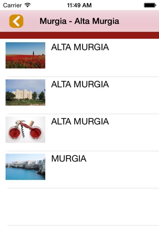 Puglia Top Wine Destination screenshot 2