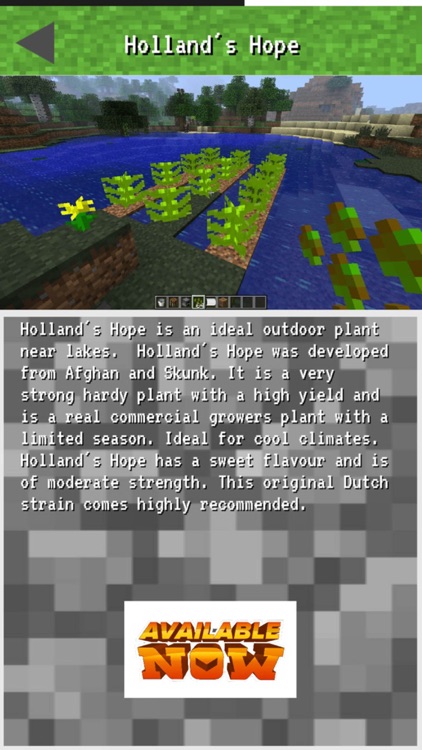 WEED MOD PIXEL ART FOR MINECRAFT PC : COMMANDS AND GUIDE