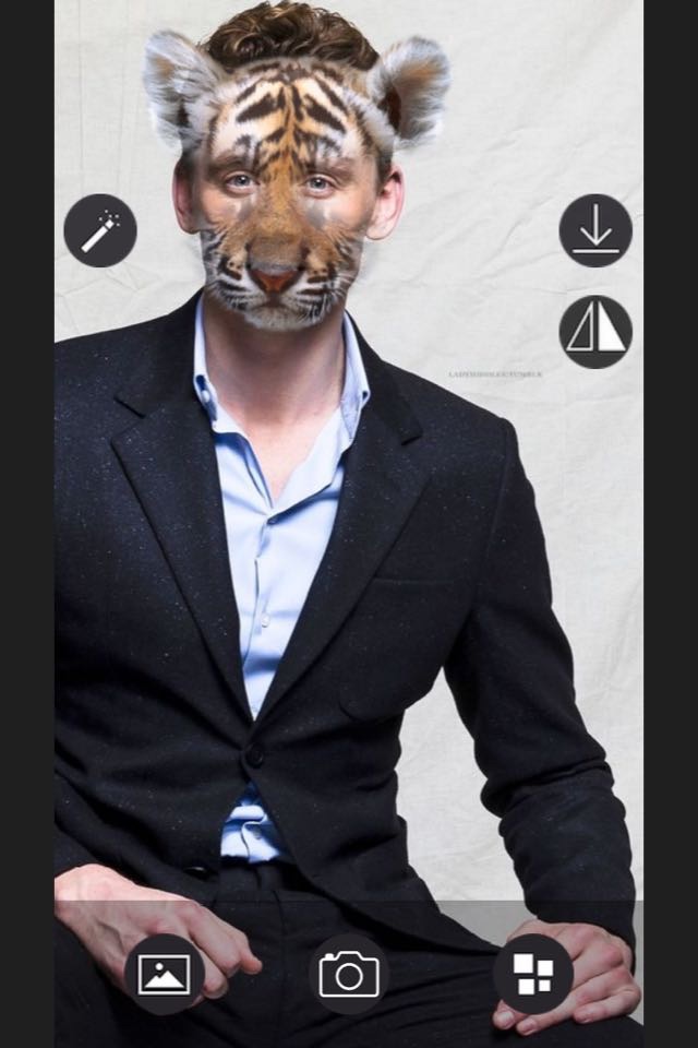 Animal Face - Selfie Editor & Stickers for Pictures screenshot 2