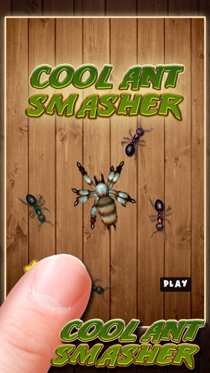 Ant Clash ^-^