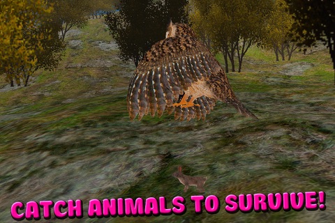 Owl Bird Survival Simulator 3D Free screenshot 2