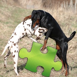 Dogs Studio Puzzle