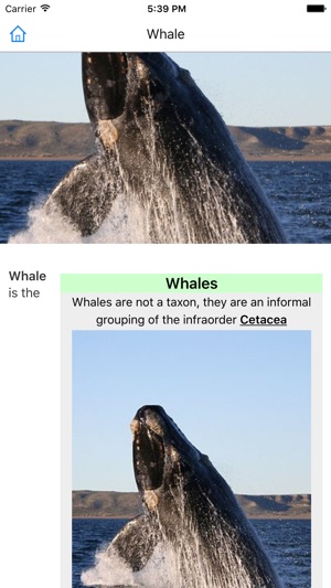 CHI Encyclopedia of Whales(圖2)-速報App