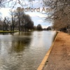 Bedford Town Guide App - Local Business & Travel Guide