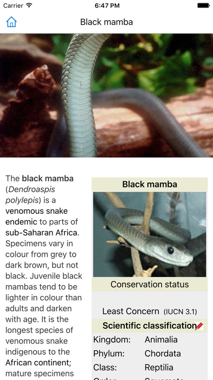 CHI Encyclopedia of Snakes