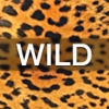 Wild Wallpaper and Lock Screens for iPhone