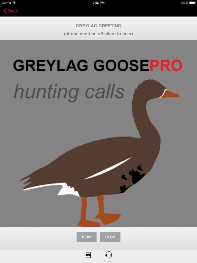 REAL Greylag Goose Hunting Calls & Greyl