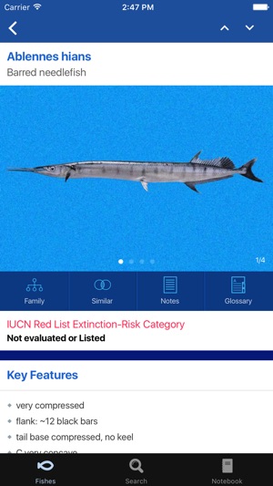 Fishes: Greater Caribbean(圖3)-速報App