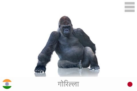 Play and Learn Hindi screenshot 3