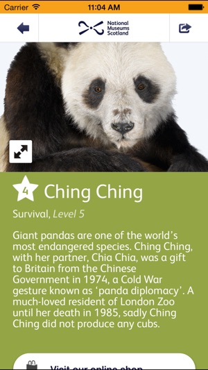 National Museum of Scotland Highlights(圖5)-速報App