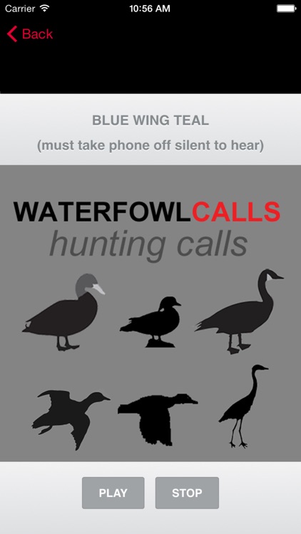 Waterfowl Hunting Calls SAMPLER - The Ultimate Waterfowl Hunting Calls App For Ducks, Geese & Sandhill Cranes