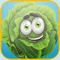 Fun and enjoyable to learn and play with great vegetable me in box on block puzzles