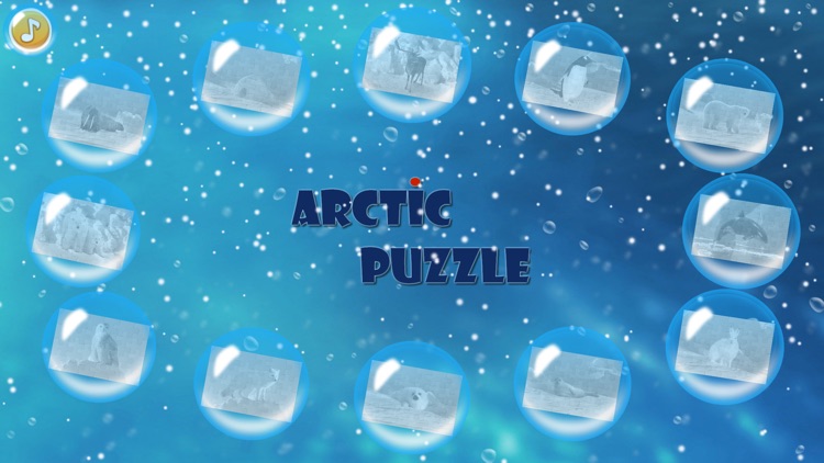 Arctic Animals Puzzle