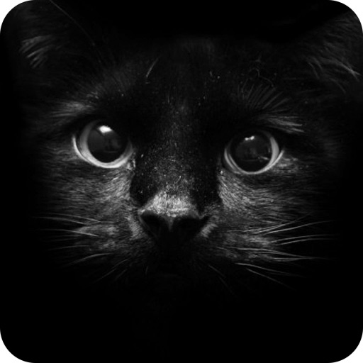 Simulator Find Cat iOS App