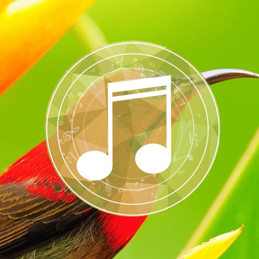 Birds sounds relaxation-Free sleep relaxing melodies and calming birds sound effects icon