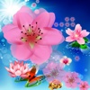 Flower Blossom Match
