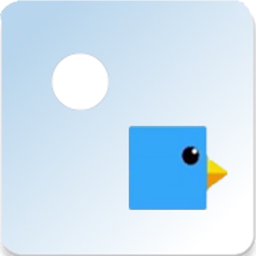 Birds & Balls iOS App