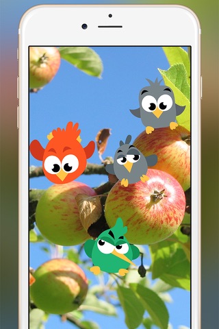 Birds Stickers screenshot 2