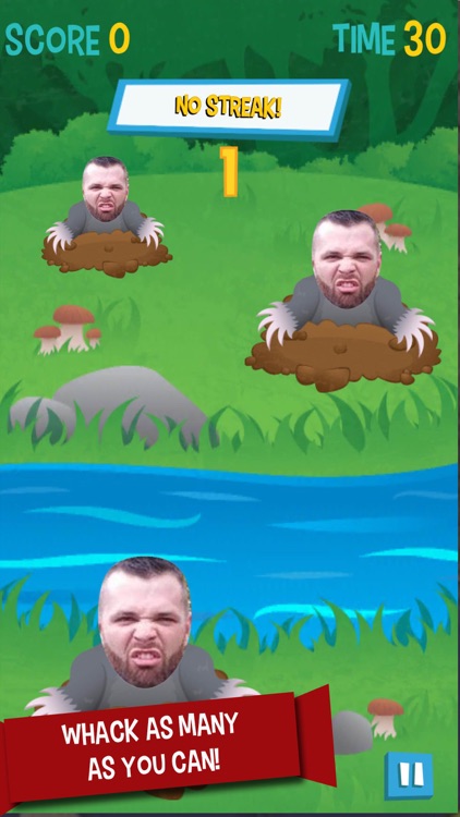 WhackAMoron - Custom Whack a Mole Game to Shame Your Friends screenshot-0