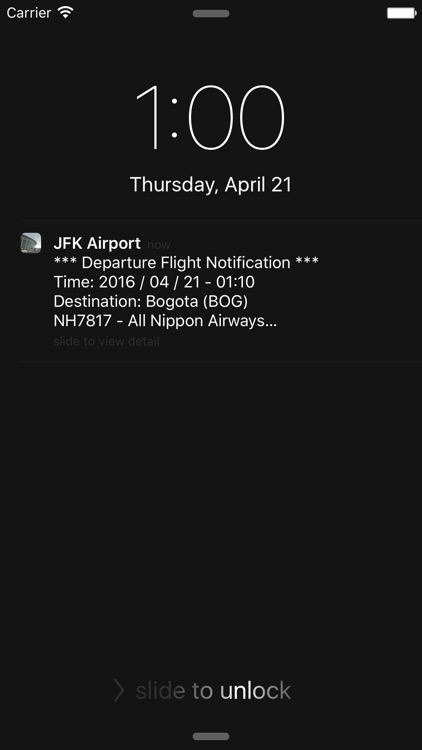 US New York JFK Intl Airport Flight Info screenshot-3