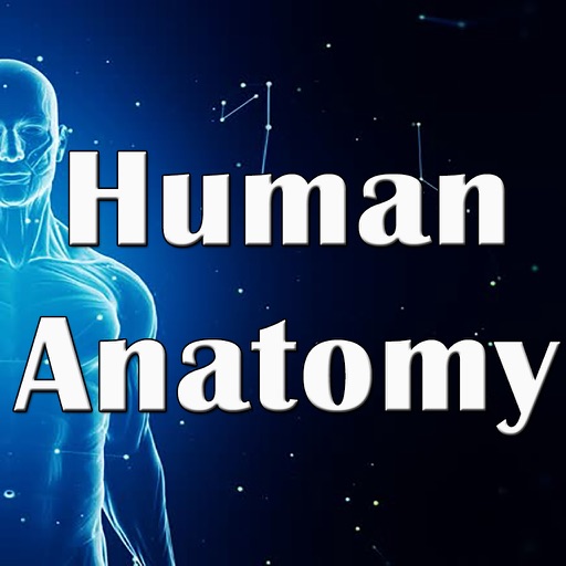 Human Anatomy: 2600 Flashcards, Concepts & Pratical Quizzes icon