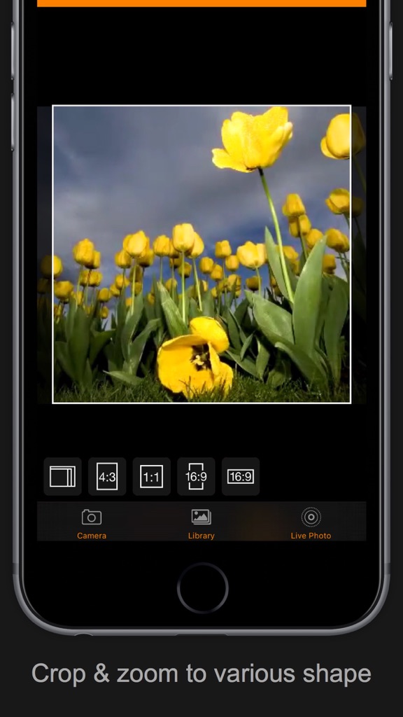 【图】Live Mix for Live Photo – edit, convert and mix(截图3)