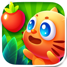 Activities of Fruit Line Dash