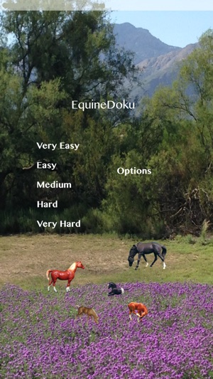 EquineDoku(圖1)-速報App